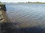 fotheringham-park-taree 008